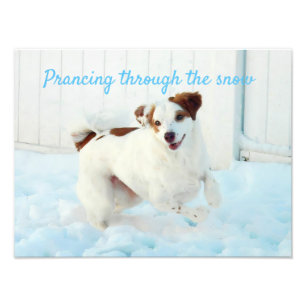 Prancing Through The Snow Photo Enlargement