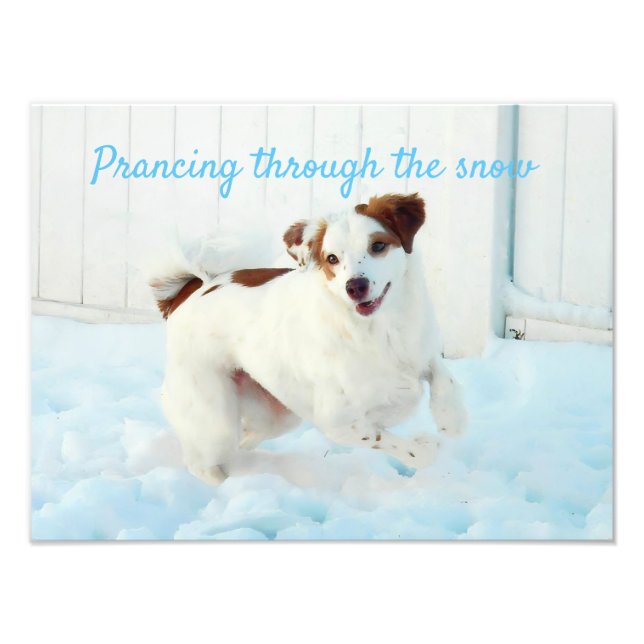 Prancing Through The Snow Photo Enlargement Print (Front)