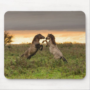 Prancing wild horses mousepad