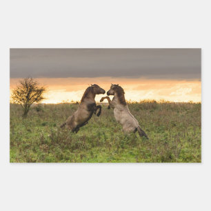 Prancing wild horses rectangular photo sticker