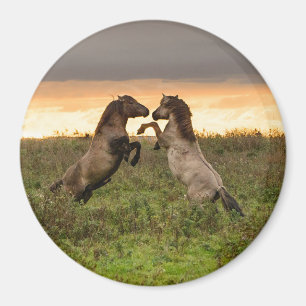 Prancing wild horses round magnet