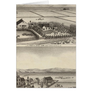Pratt, Stewart farms