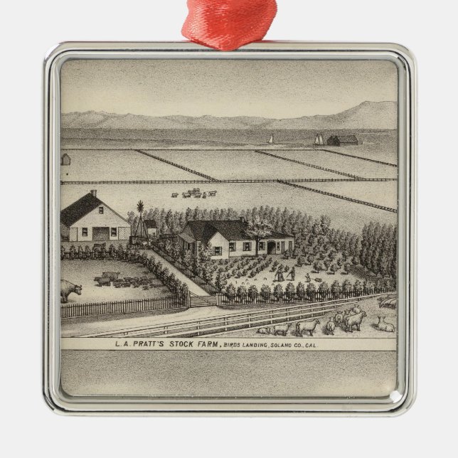 Pratt, Stewart farms Metal Tree Decoration (Front)