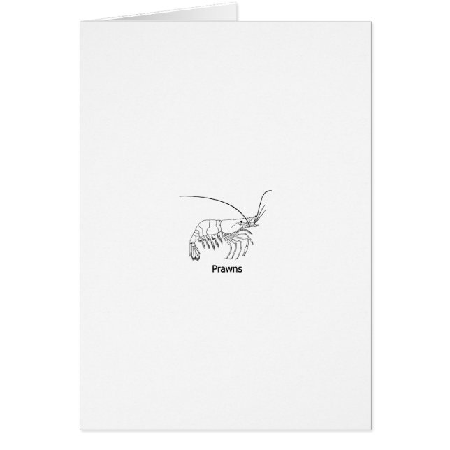 Prawn Logo (Front)