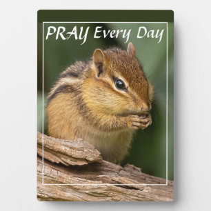 Pray Every Day Chipmunk Plaque