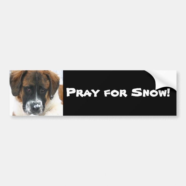 Pray for Snow! Bumper Sticker (Front)