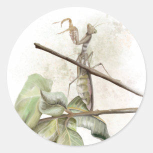 Pray Mantis watercolor Classic Round Sticker