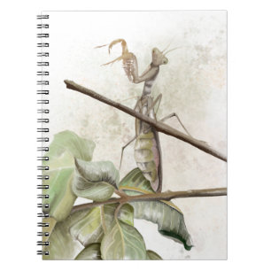 Pray Mantis watercolor Notebook