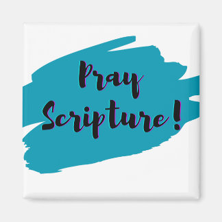 Pray Scripture Magnet