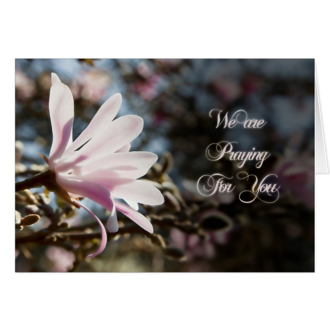 Prayer card with magnolia (Front Horizontal)