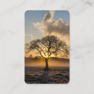 Prayer Cards   Lone Tree Deluxe