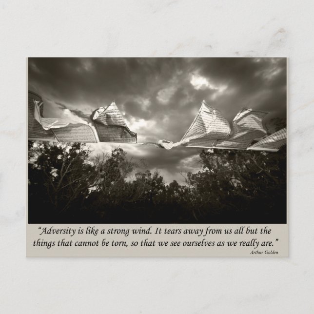 Prayer Flags Postcard (Front)