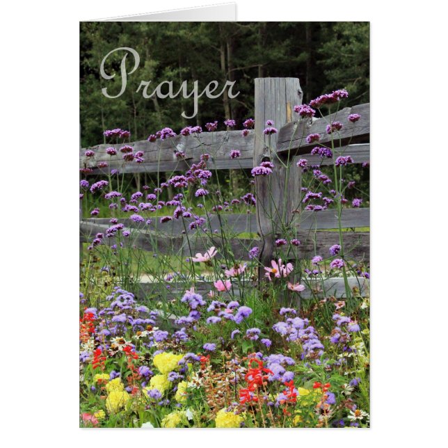 Prayer Flowers (Front)