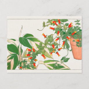 Prayer plant, Firecracker by Tanigami Konan Postcard