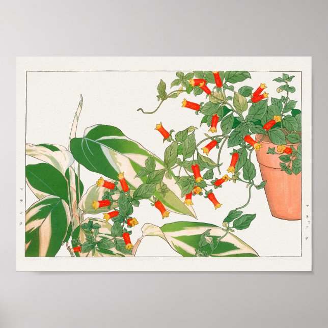 Prayer plant, Firecracker by Tanigami Konan Poster (Front)