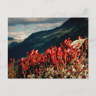 PRAYER POSTCARD