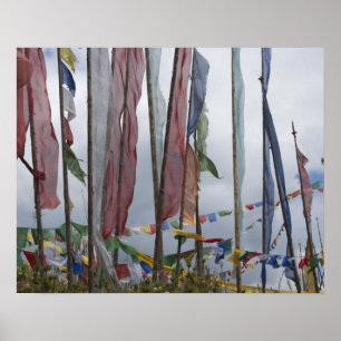 Praying flag poles in mountain, Yotongla Pass Poster