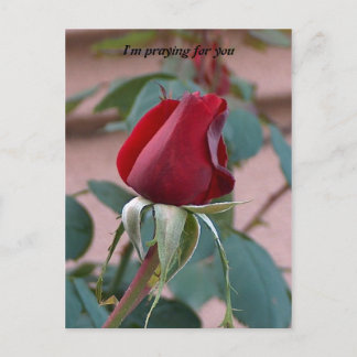 praying for you postcard