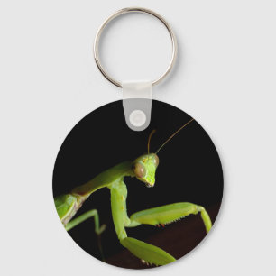 Praying mantid key ring