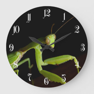 Praying mantid large clock