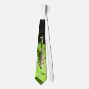 Praying Mantis and Firefly Tie