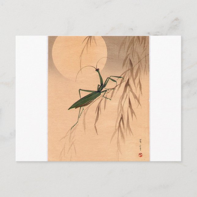 Praying Mantis and the Moon Japanese Art c. 1800s Postcard (Front)