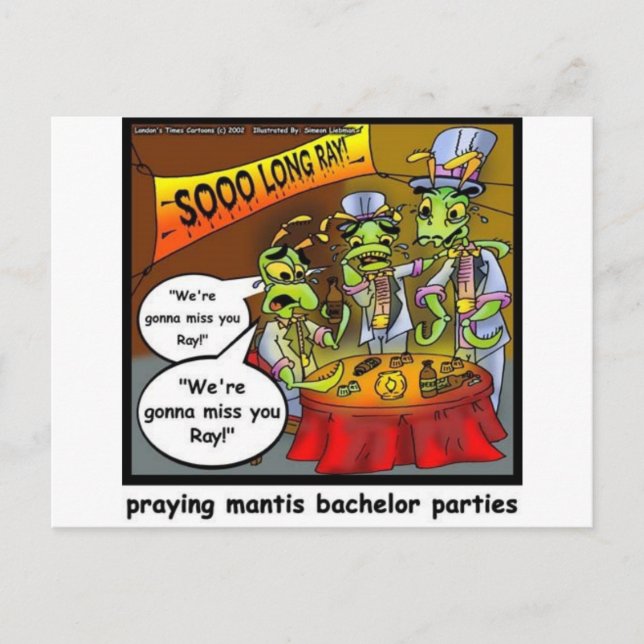 Praying Mantis Batchelor Party Funny Gifts & Tees Postcard (Front)