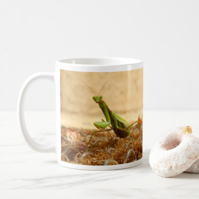 Praying Mantis Bug Mug (With Donut)
