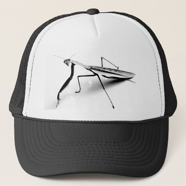 Praying Mantis Cap (Front)