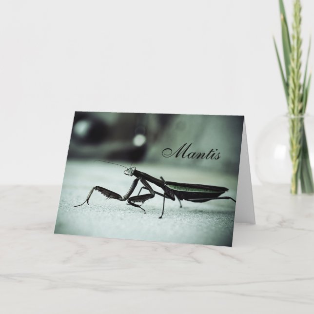 Praying mantis card (Front)