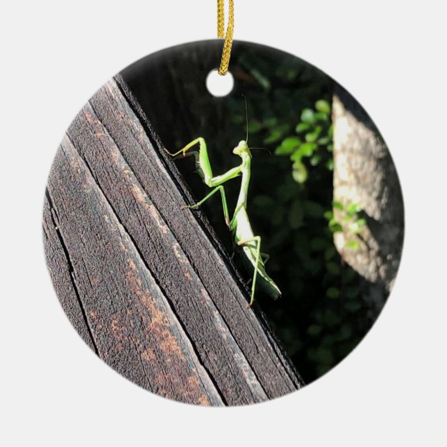 Praying Mantis  Ceramic Ornament (Front)
