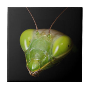 Praying mantis ceramic tile