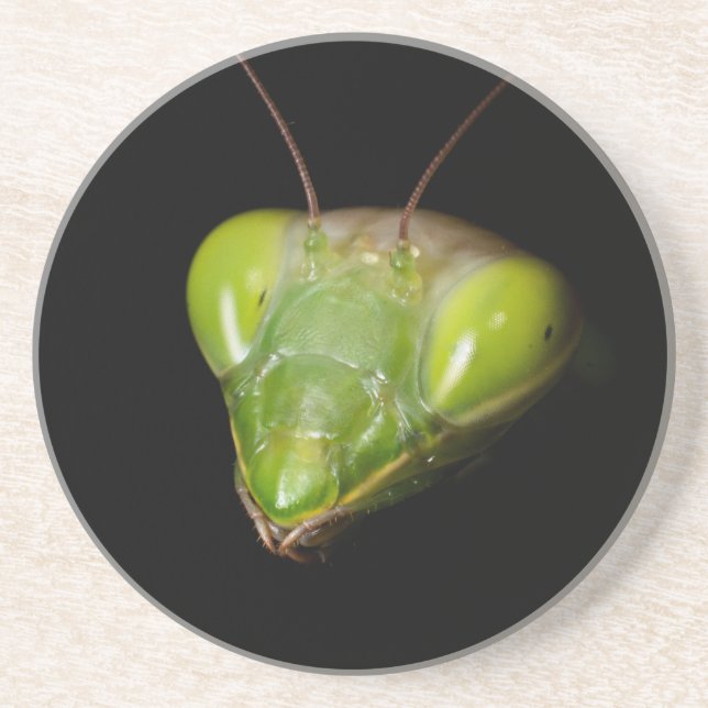 Praying mantis coaster (Front)