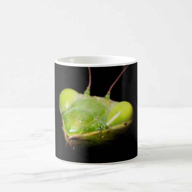 Praying mantis coffee mug (Center)