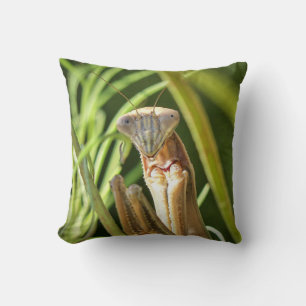 Praying Mantis Cushion