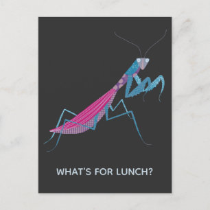 Praying Mantis Custom Text Postcard