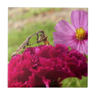 Praying Mantis Dining on a Moth Ceramic Tile