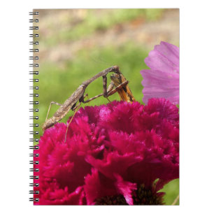 Praying Mantis Dining on a Moth Notebook