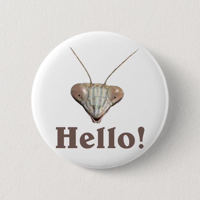Praying Mantis Hello 6 Cm Round Badge (Front)