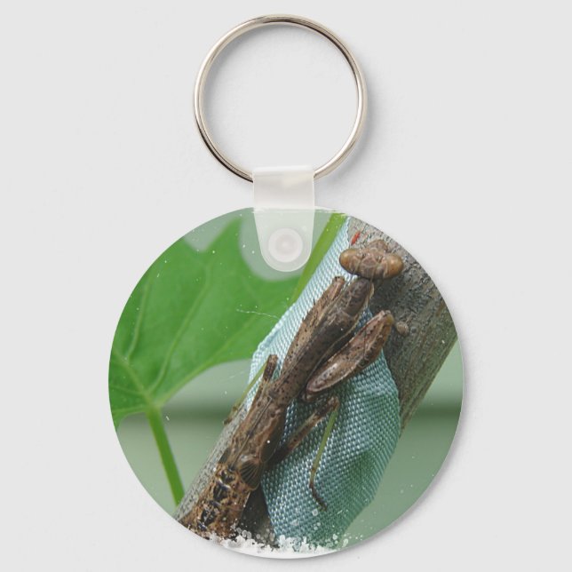 Praying Mantis Insect Key Ring (Front)