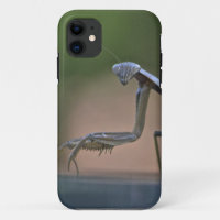 Praying Mantis Iphone 5 Case