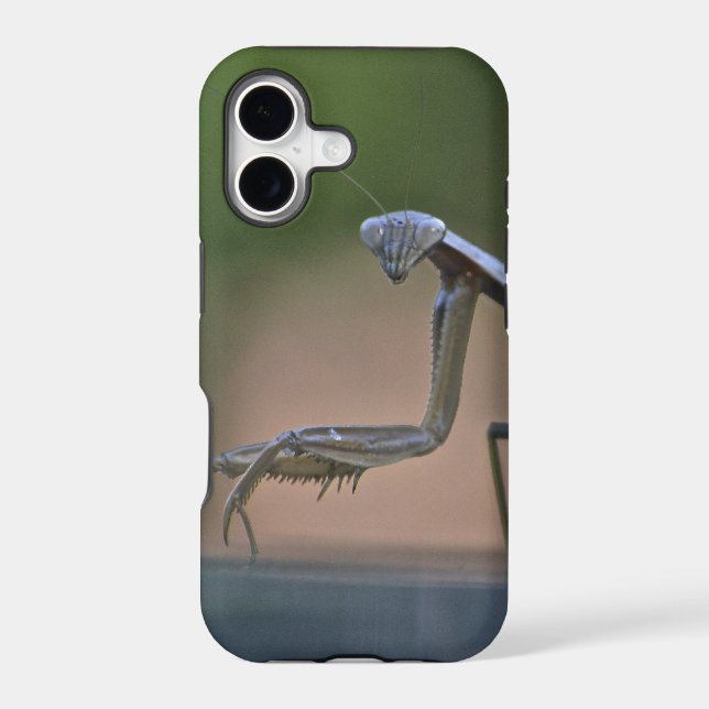 Praying Mantis Iphone 5 Case (Back)