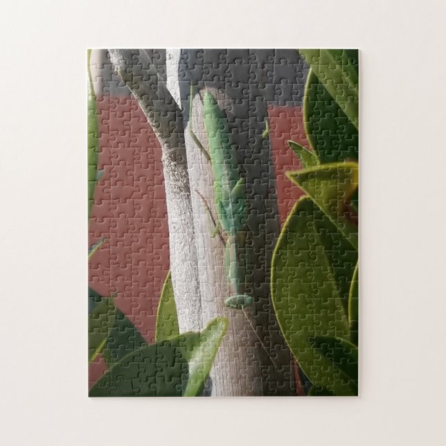 Praying Mantis Jigsaw Puzzle (Vertical)