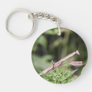 Praying Mantis Key Ring