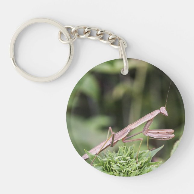 Praying Mantis Key Ring (Front)