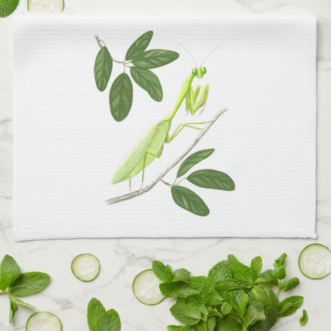 Praying Mantis Kitchen Towel (Folded)
