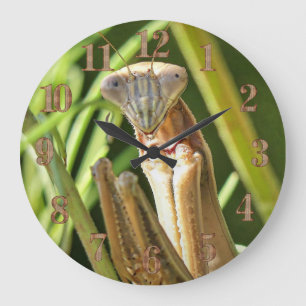 Praying Mantis Large Clock