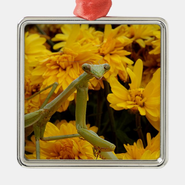 Praying Mantis Metal Ornament (Front)