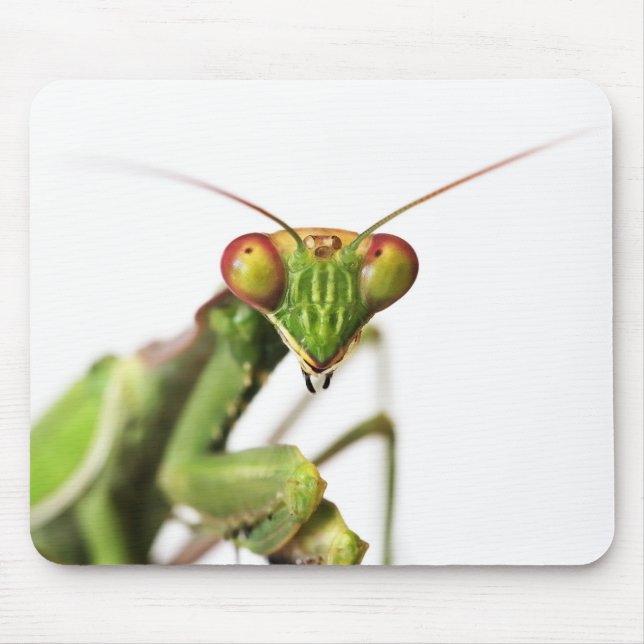 Praying Mantis Mouse Mat (Front)