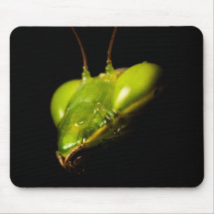 Praying mantis mouse pad